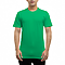 Premium Jersey Tee True Kelly Green