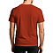 Premium V Neck Tee Autumn back