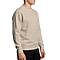 Premium Crewneck Sweatshirt Dust side