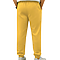 Youth Fleece Jogger Pant Gold back
