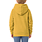 Youth Pullover Hoodie Gold back