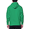 Premium Pullover Hoodie True Kelly Green back
