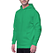 Premium Pullover Hoodie True Kelly Green side