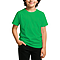Comfort Youth Tee Irish Green