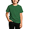 Comfort Youth Tee True Kelly Green
