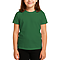 Comfort Youth Tee True Kelly Green