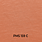 Premium Youth Fit Tee Burnt Orange