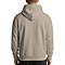 Urban Hoodie Dust