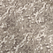 Crewneck Cropped Sweatshirt Camouflage swatch