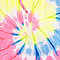 Tie Dye Hoodie