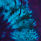 Tie Dye Jogger Team Purple